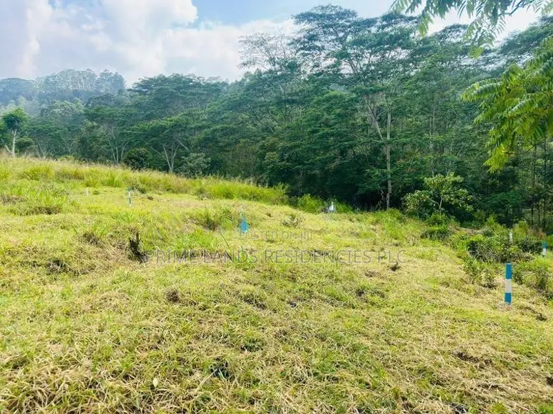 Lands for Sale in Pusellawa