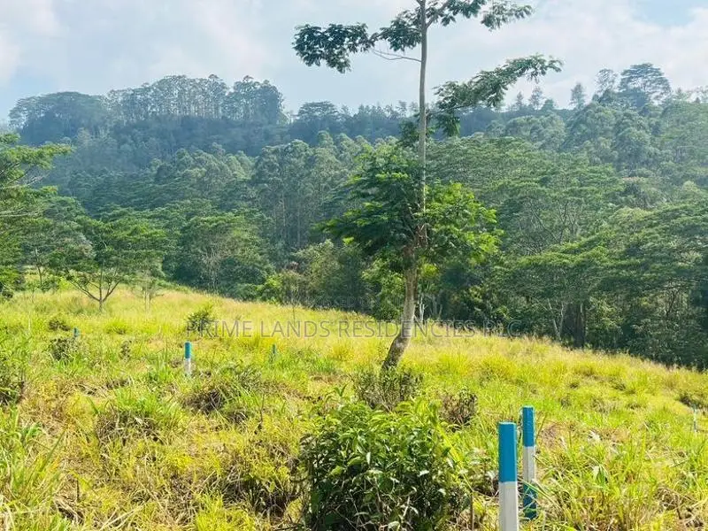 Lands for Sale in Pusellawa