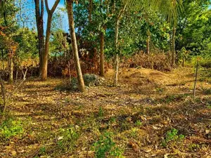 Sooriyawewa Land With A House For Sale (Sspl-509) In Hambantota