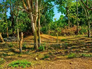 Sooriyawewa Land With A House For Sale (Sspl-509) In Hambantota
