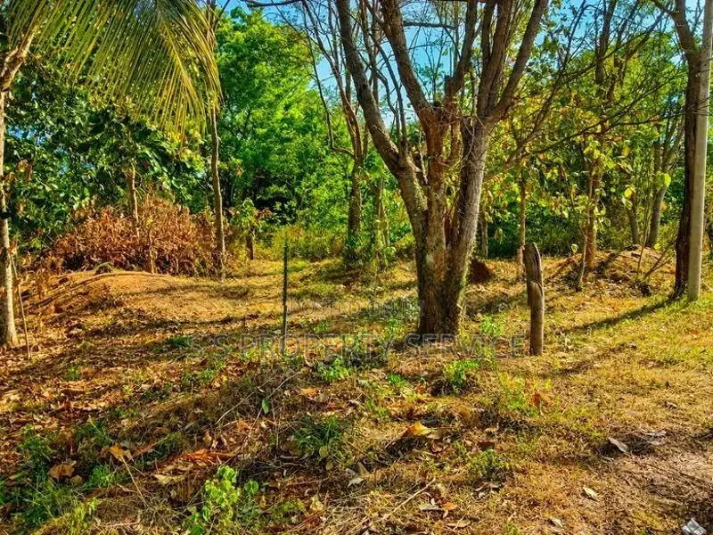 Sooriyawewa Land With A House For Sale (Sspl-509) In Hambantota