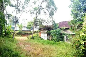 5.5 Acre Land for Rent in Horana