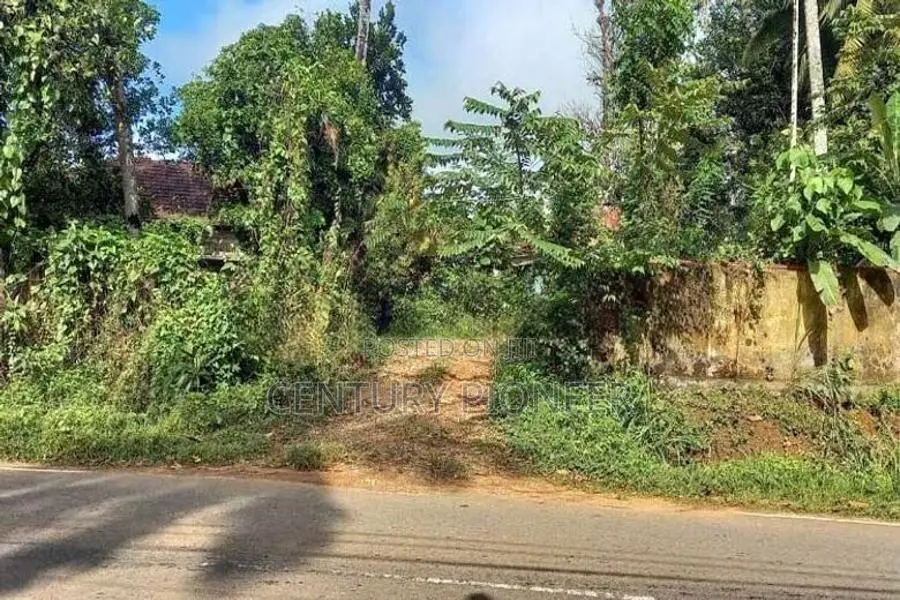 5.5 Acre Land for Rent in Horana