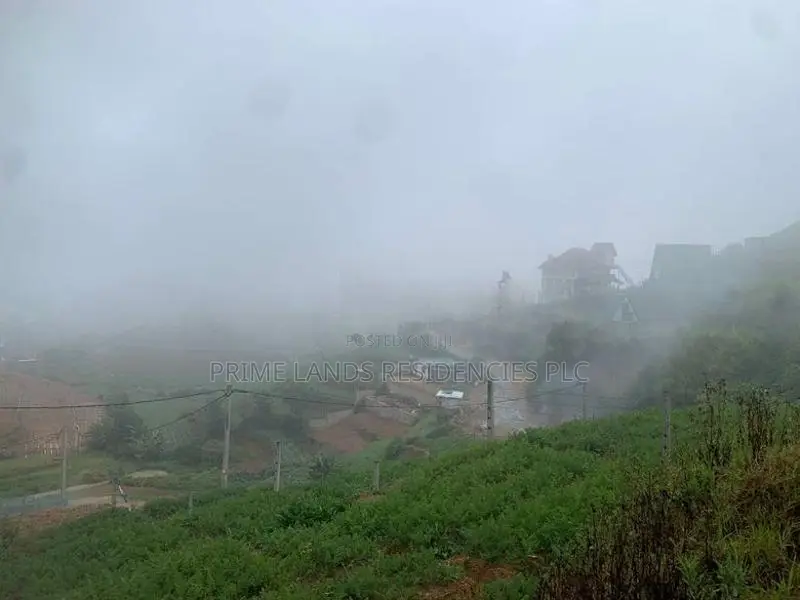Lands for Sale in Ambewela