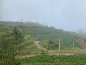 Lands for Sale in Ambewela