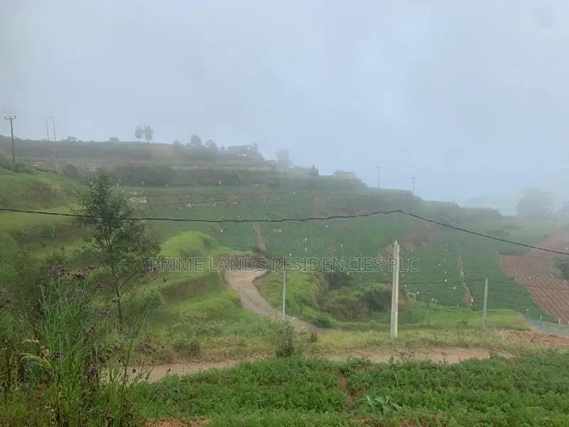 Lands for Sale in Ambewela