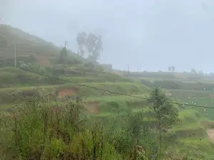 Lands for Sale in Ambewela