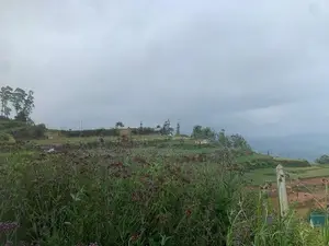 Lands for Sale in Ambewela