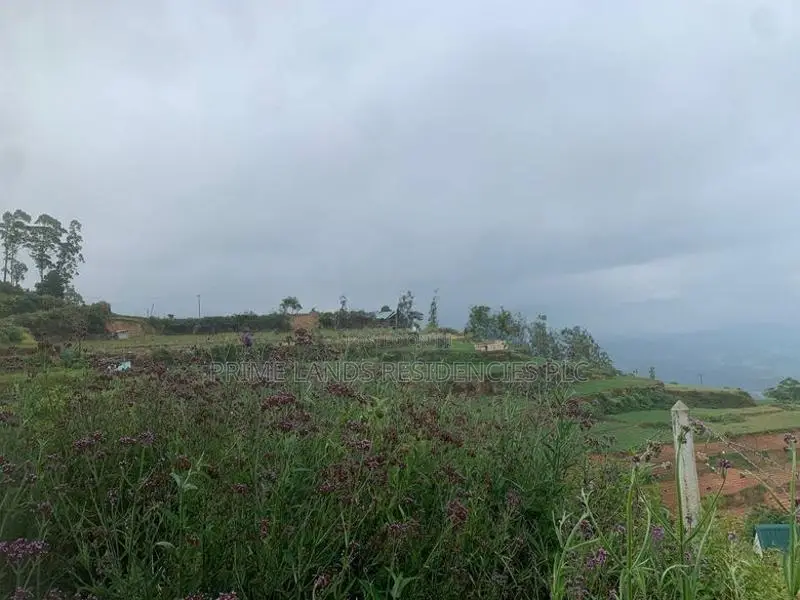 Lands for Sale in Ambewela