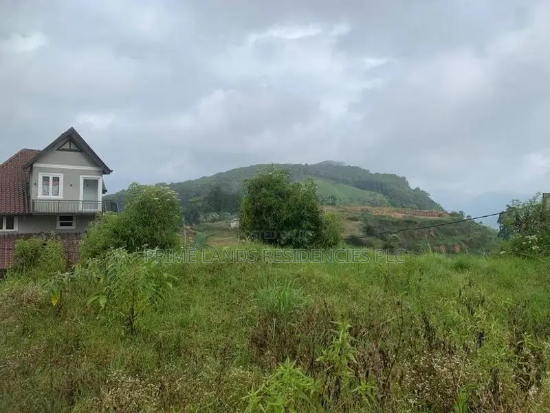 Lands for Sale in Ambewela