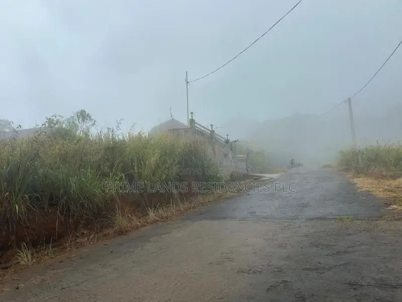 Lands for Sale in Ambewela