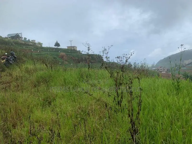 Lands for Sale in Ambewela