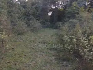 Farming Land For Sale In Batticaloa