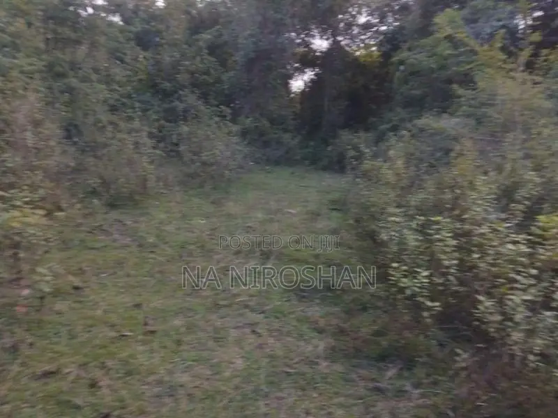 Farming Land For Sale In Batticaloa