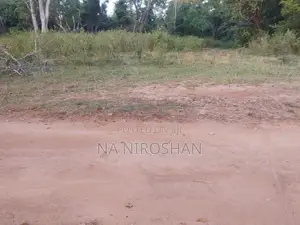 Farming Land For Sale In Batticaloa