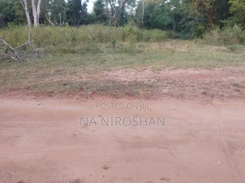 Farming Land For Sale In Batticaloa