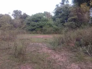 Farming Land For Sale In Batticaloa