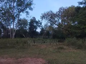 Farming Land For Sale In Batticaloa