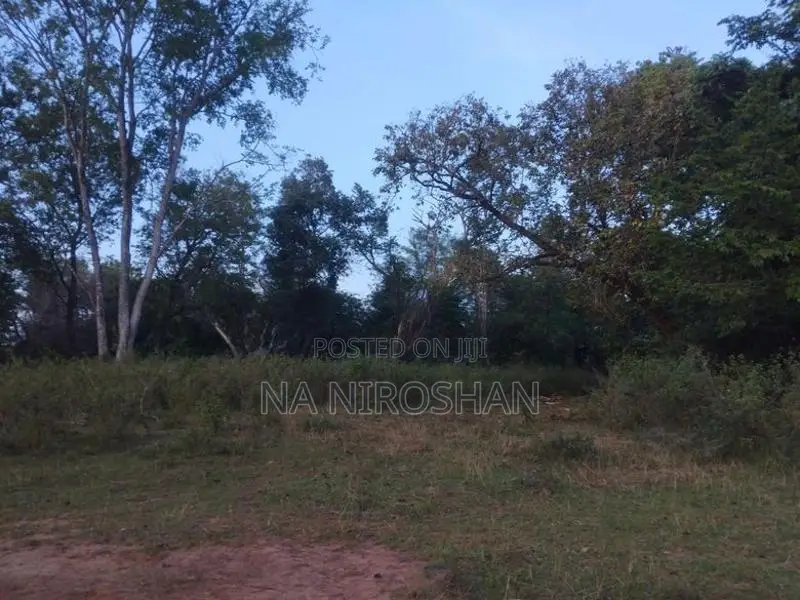 Farming Land For Sale In Batticaloa