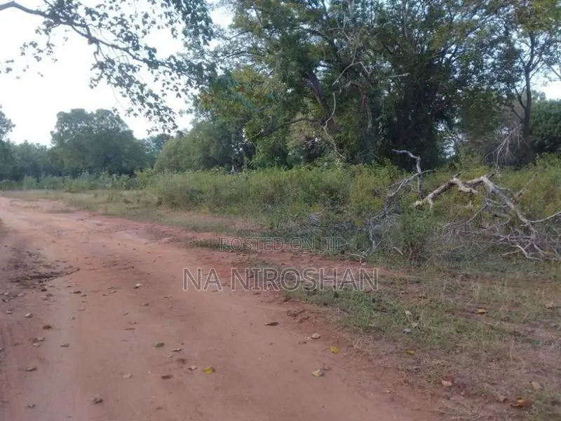 Farming Land For Sale In Batticaloa