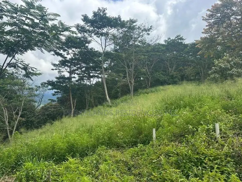 Lands for Sale in Pussellawa