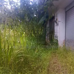 Land With A House For Sale In Galagedara