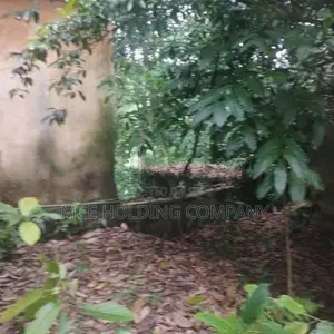 Land With A House For Sale In Galagedara