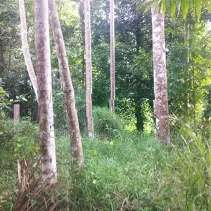 Land With A House For Sale In Galagedara
