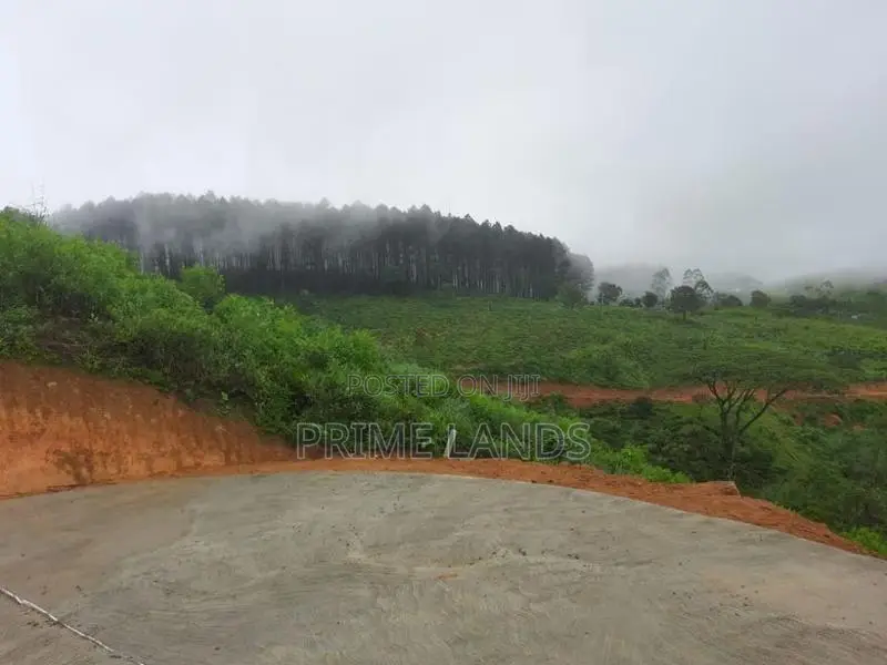 Valuable Land for Sale in Upper Glenloch- Ramboda