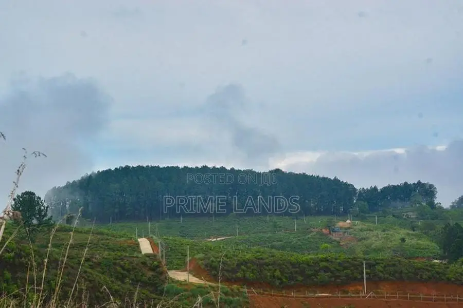 Valuable Land for Sale in Upper Glenloch- Ramboda