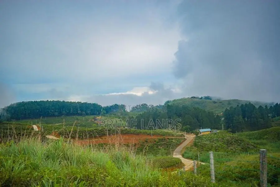 Valuable Land for Sale in Upper Glenloch- Ramboda
