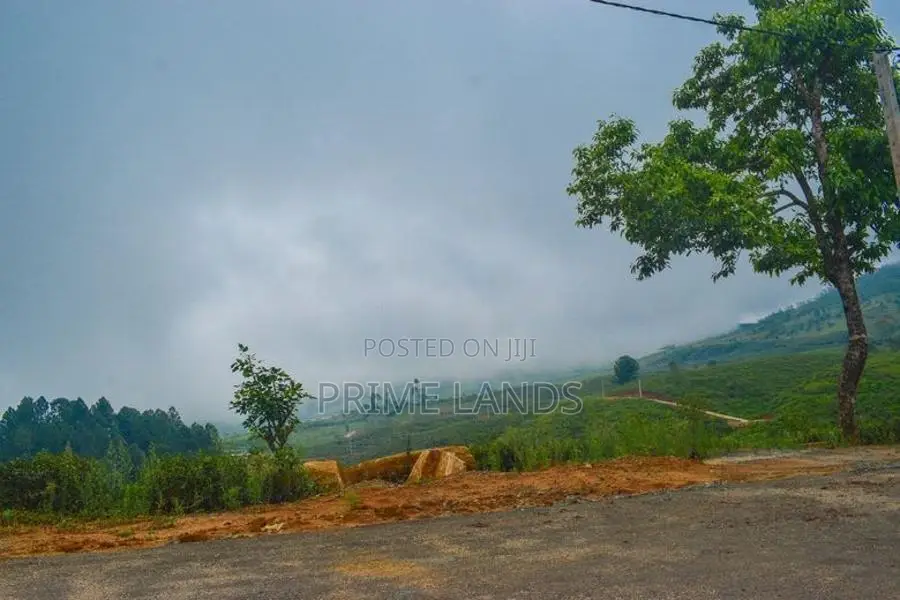 Valuable Land for Sale in Upper Glenloch- Ramboda