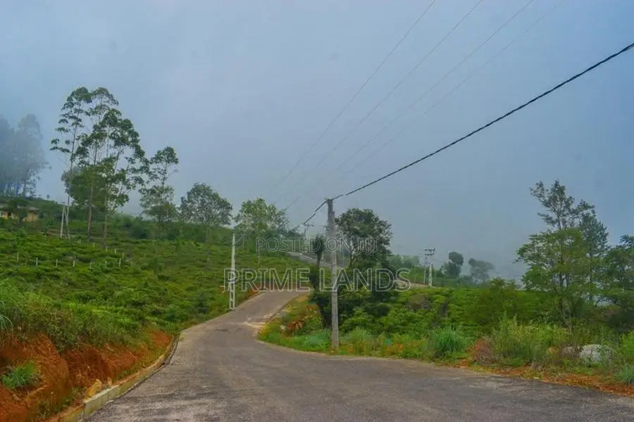 Valuable Land for Sale in Upper Glenloch- Ramboda