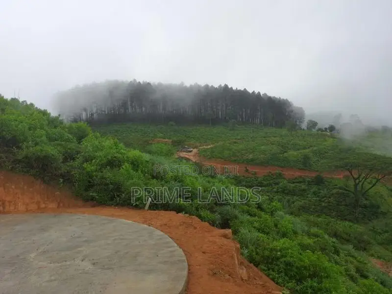 Valuable Land for Sale in Upper Glenloch- Ramboda