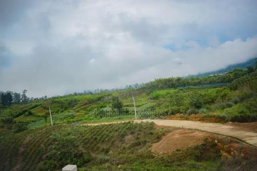 Valuable Land for Sale in Upper Glenloch- Ramboda