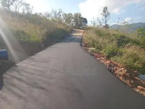 Valuable Land for Sale in Nillamba
