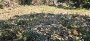 Kandy Lake Round 40 P Land for Sale