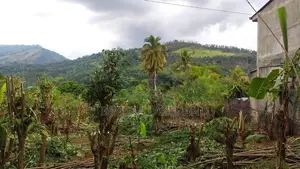 බදුල්ලෙන් ඌව වෙල්ලස්ස කැම්පස් එක ළඟින් ඉතා වටිනා ඉඩමක්