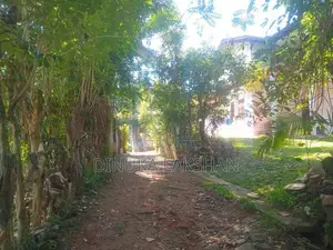 බදුල්ලෙන් ඌව වෙල්ලස්ස කැම්පස් එක ළඟින් ඉතා වටිනා ඉඩමක්