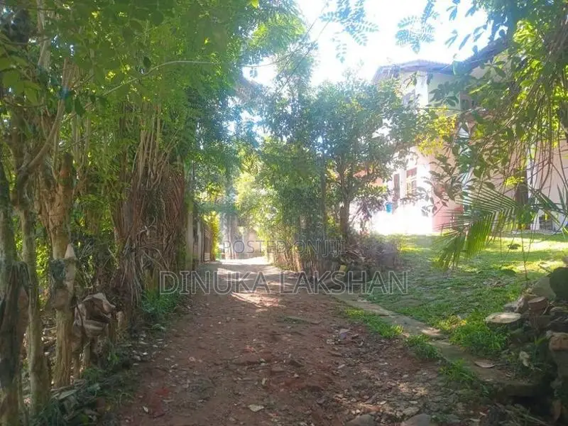 බදුල්ලෙන් ඌව වෙල්ලස්ස කැම්පස් එක ළඟින් ඉතා වටිනා ඉඩමක්