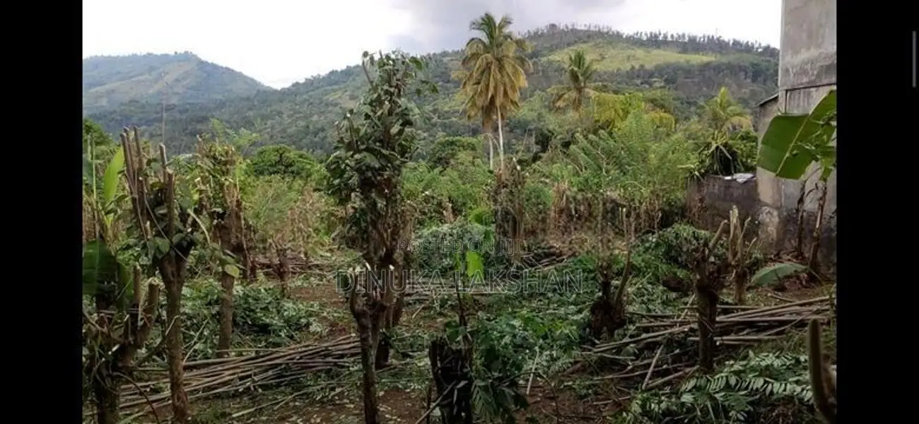 බදුල්ලෙන් ඌව වෙල්ලස්ස කැම්පස් එක ළඟින් ඉතා වටිනා ඉඩමක්