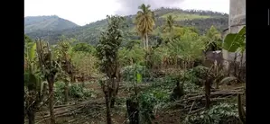 බදුල්ලෙන් ඌව වෙල්ලස්ස කැම්පස් එක ළඟින් ඉතා වටිනා ඉඩමක්