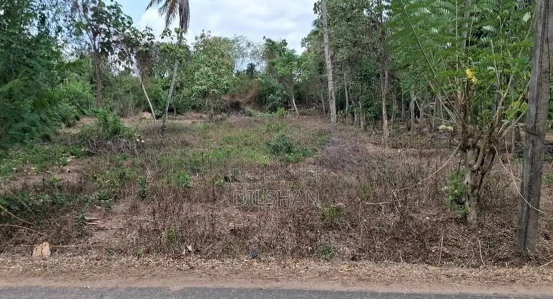 Land For Sale Narammala