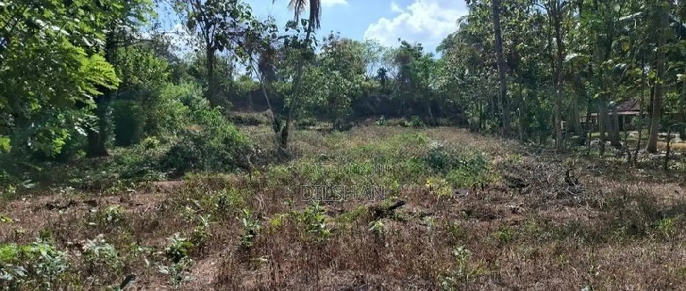 Land For Sale Narammala