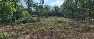 Land For Sale Narammala