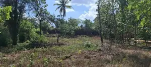 Land For Sale Narammala