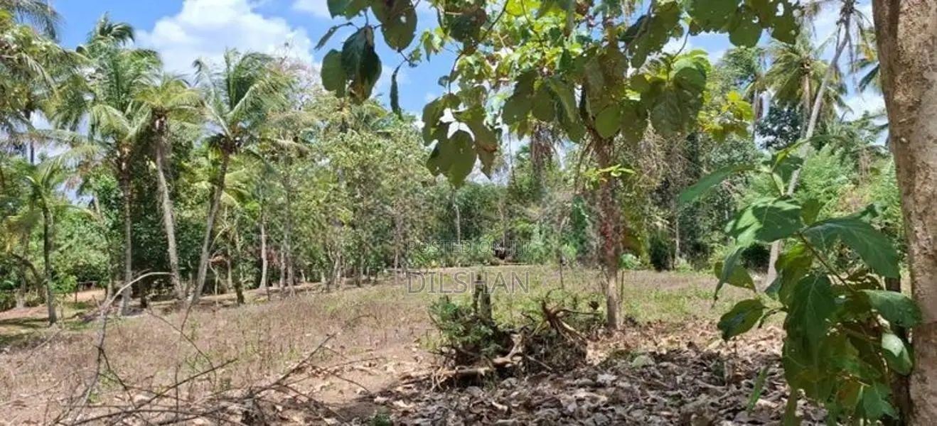 Land For Sale Narammala