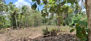 Land For Sale Narammala
