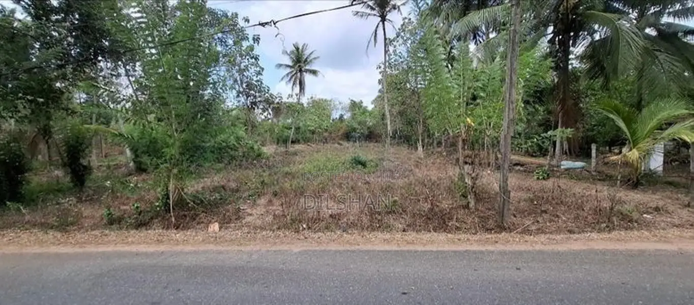 Land For Sale Narammala