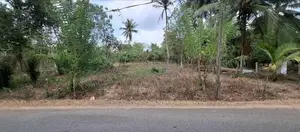 Land For Sale Narammala